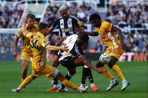 Newcastle United đấu với Brighton